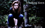 The Twilight Saga: Breaking Dawn 暮光之城4：破曉高清壁紙 #2