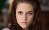 The Twilight Saga: Breaking Dawn fonds d'écran HD #3
