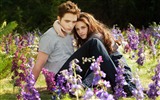 The Twilight Saga: Breaking Dawn 暮光之城4：破曉高清壁紙 #4