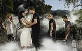The Twilight Saga: Breaking Dawn fonds d'écran HD #7