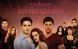 The Twilight Saga: Breaking Dawn fonds d'écran HD #10