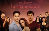 The Twilight Saga: Breaking Dawn 暮光之城4：破曉高清壁紙 #10