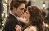 The Twilight Saga: Breaking Dawn 暮光之城4：破晓 高清壁纸12