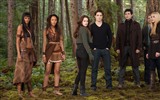 The Twilight Saga: Breaking Dawn 暮光之城4：破曉高清壁紙 #13