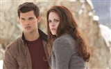 The Twilight Saga: Breaking Dawn 暮光之城4：破曉高清壁紙 #14