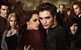 The Twilight Saga: Breaking Dawn fonds d'écran HD #21