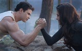 The Twilight Saga: Breaking Dawn HD wallpapers #23