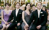 The Twilight Saga: Breaking Dawn HD Wallpaper #24