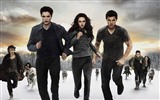 The Twilight Saga: Breaking Dawn 暮光之城4：破晓 高清壁纸26