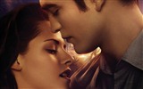 The Twilight Saga: Breaking Dawn HD обои #28