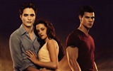 The Twilight Saga: Breaking Dawn 暮光之城4：破晓 高清壁纸30