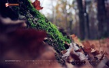 November 2012 Calendar wallpaper (1) #7