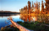 Los lagos, mar, árboles, bosques, montañas, paisaje hermoso fondo de pantalla