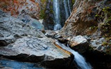 Los lagos, mar, árboles, bosques, montañas, paisaje hermoso fondo de pantalla #19