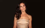 Minka Kelly superbes fonds d'écran #12