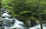 Windows 8 official panoramic wallpaper, waves, forests, majestic mountains #8