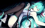 Hatsune Miku-Serie Wallpaper (5) #21