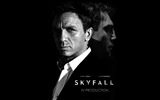 Skyfall 007のHDの壁紙 #14