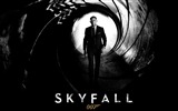 Skyfall 007 fondos de pantalla HD #17