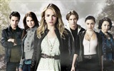 The Secret Circle HD fondos de pantalla #7