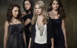 The Secret Circle HD fondos de pantalla #11