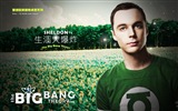 Die Big Bang Theory TV Series HD Wallpaper #16