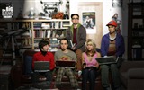 Die Big Bang Theory TV Series HD Wallpaper #19