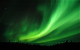 Naturwunder der Northern Lights HD Wallpaper (1) #4