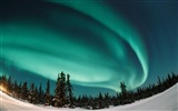 Přírodní divy Northern Lights HD Wallpaper (1) #12