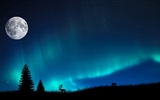 Natural wonders of the Northern Lights HD Wallpaper (1) #13