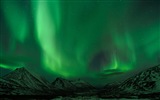 Přírodní divy Northern Lights HD Wallpaper (1) #20