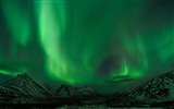 Naturwunder der Northern Lights HD Wallpaper (1) #20