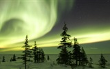 Natural wonders of the Northern Lights HD Wallpaper (2) #18