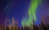 Naturwunder der Northern Lights HD Wallpaper (2) #20