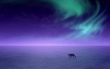 Přírodní divy Northern Lights HD Wallpaper (2) #21