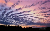 Windows 8 Wallpapers: Painted Skies