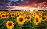 Windows 8 Wallpapers: Magic Nature Landscapes #17