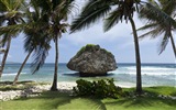 Windows 8 Wallpaper: Caribbean Shores #10