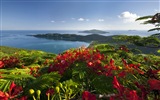 Windows 8 Wallpapers: Caribbean Shores #11