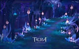 Tera HD Spiel wallpapers #5