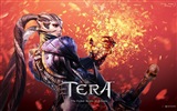 Tera HD Spiel wallpapers #9