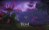 TERA HD fondos de pantalla de juegos #15