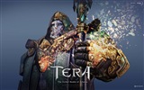 TERA HD fondos de pantalla de juegos #17