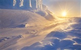 Windows 8 壁紙：南極洲，冰雪風景，南極企鵝 #9