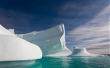 Fonds d'écran Windows 8: l'Arctique, le paysage de nature écologique, animaux arctiques #14