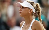 Anna Kournikova 安娜·库尔尼科娃 美女壁纸