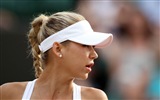 Anna Kournikova 安娜·庫爾尼科娃 美女壁紙 #14