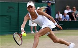 Anna Kournikova krásné Tapety na plochu #16