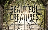 Beautiful Creatures 2013 fonds d'écran de films HD #3