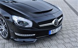 2013 Brabus 800 Roadster HD Tapety na plochu #5